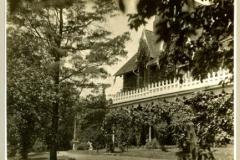 oakhill-ivy-II